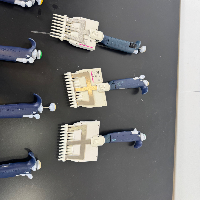 Gilson Pipetman Multichannel Pipettes - Quantity 7 image 2